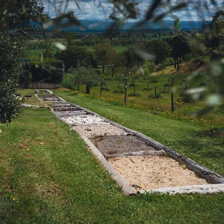 Podere Tovari Anghiari